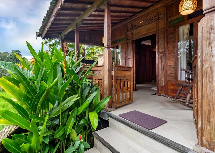ホリデーパーク Taksu By Dhananjaya Hospitality
